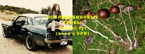2c-b Арсеньев