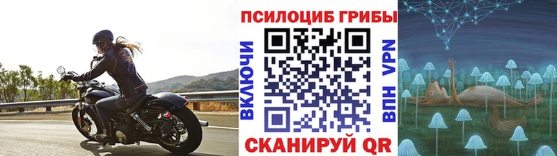 Псилоцибиновые грибы GOLDEN TEACHER  Баймак 